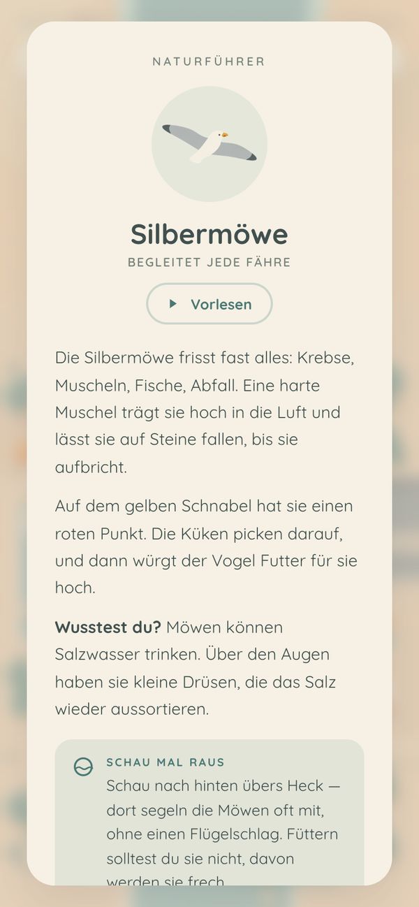 Eine Karte aus dem Naturf&uuml;hrer: Illustration einer Silberm&ouml;we im Gleitflug, darunter der Knopf Vorlesen und der Text zur M&ouml;we.